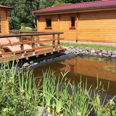 Blockhaus Harzblick Standard Villa Hohegeiß Buitenkant foto