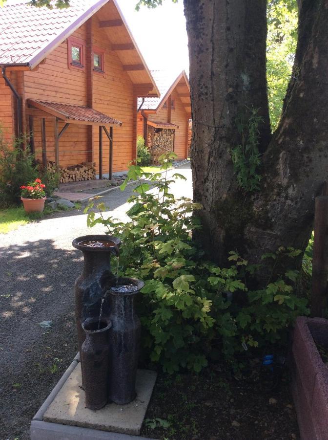 Blockhaus Harzblick Standard Villa Hohegeiß Buitenkant foto