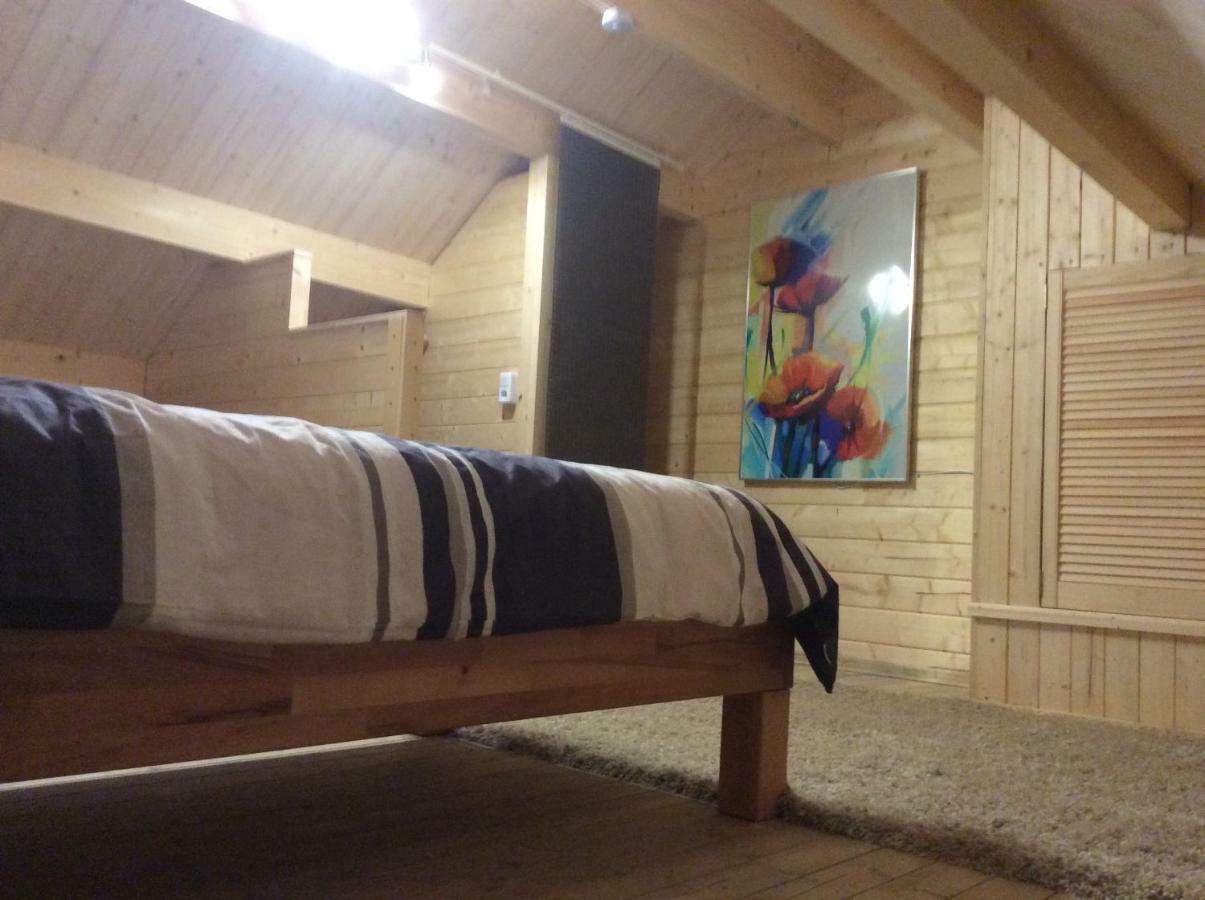 Blockhaus Harzblick Standard Villa Hohegeiß Buitenkant foto