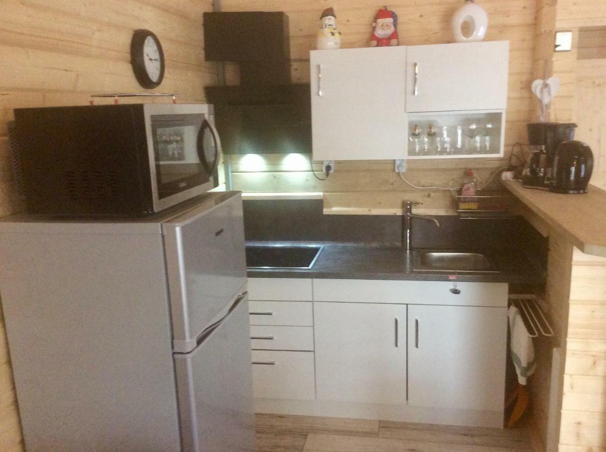 Blockhaus Harzblick Standard Villa Hohegeiß Buitenkant foto