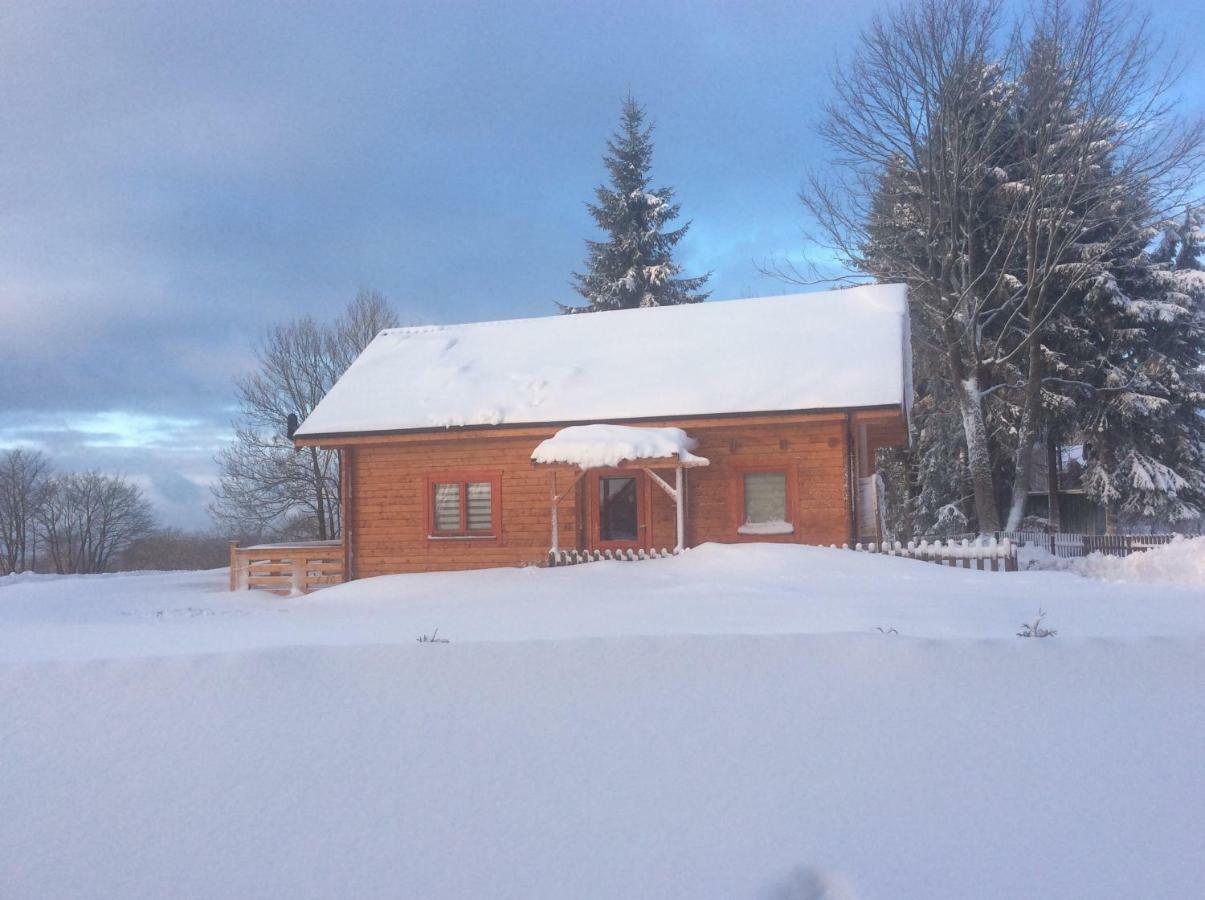 Blockhaus Harzblick Standard Villa Hohegeiß Buitenkant foto