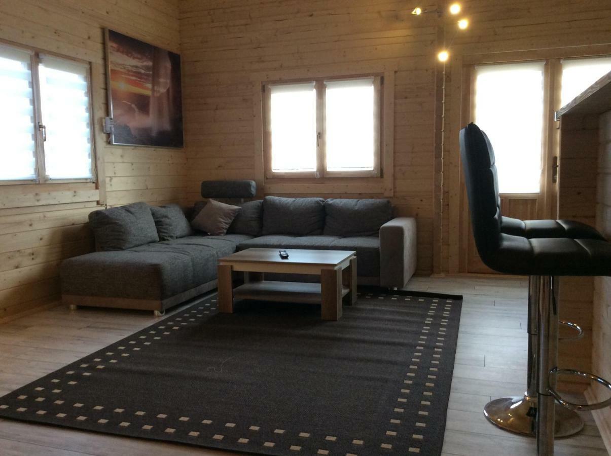 Blockhaus Harzblick Standard Villa Hohegeiß Buitenkant foto