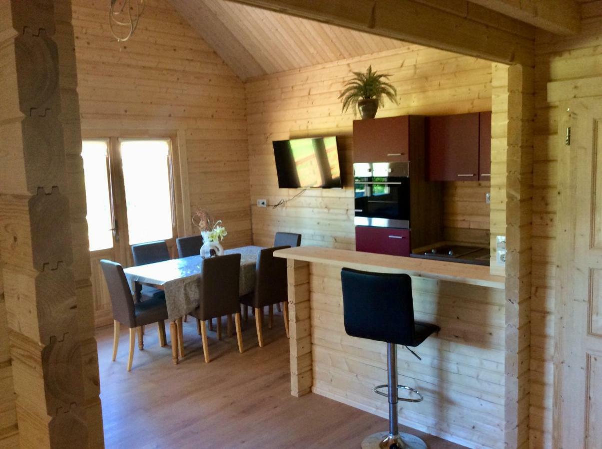Blockhaus Harzblick Standard Villa Hohegeiß Buitenkant foto