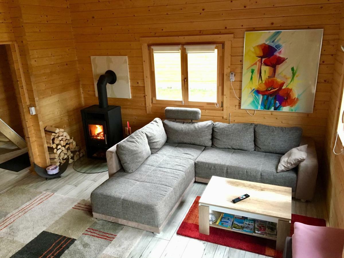Blockhaus Harzblick Standard Villa Hohegeiß Buitenkant foto