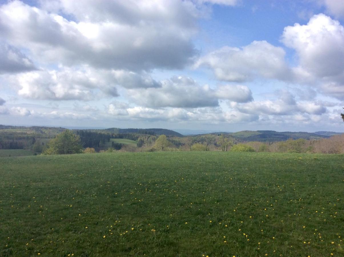 Blockhaus Harzblick Standard Villa Hohegeiß Buitenkant foto
