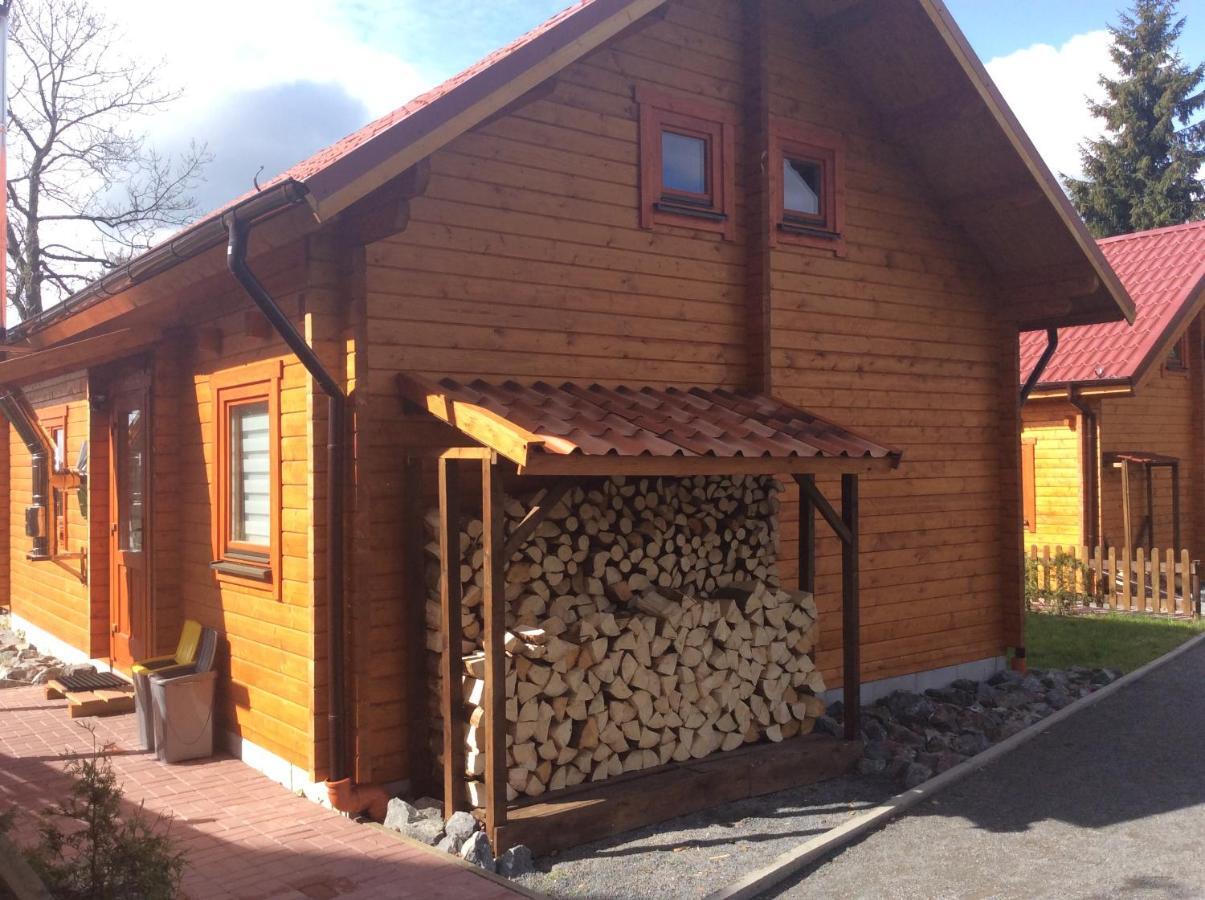 Blockhaus Harzblick Standard Villa Hohegeiß Buitenkant foto